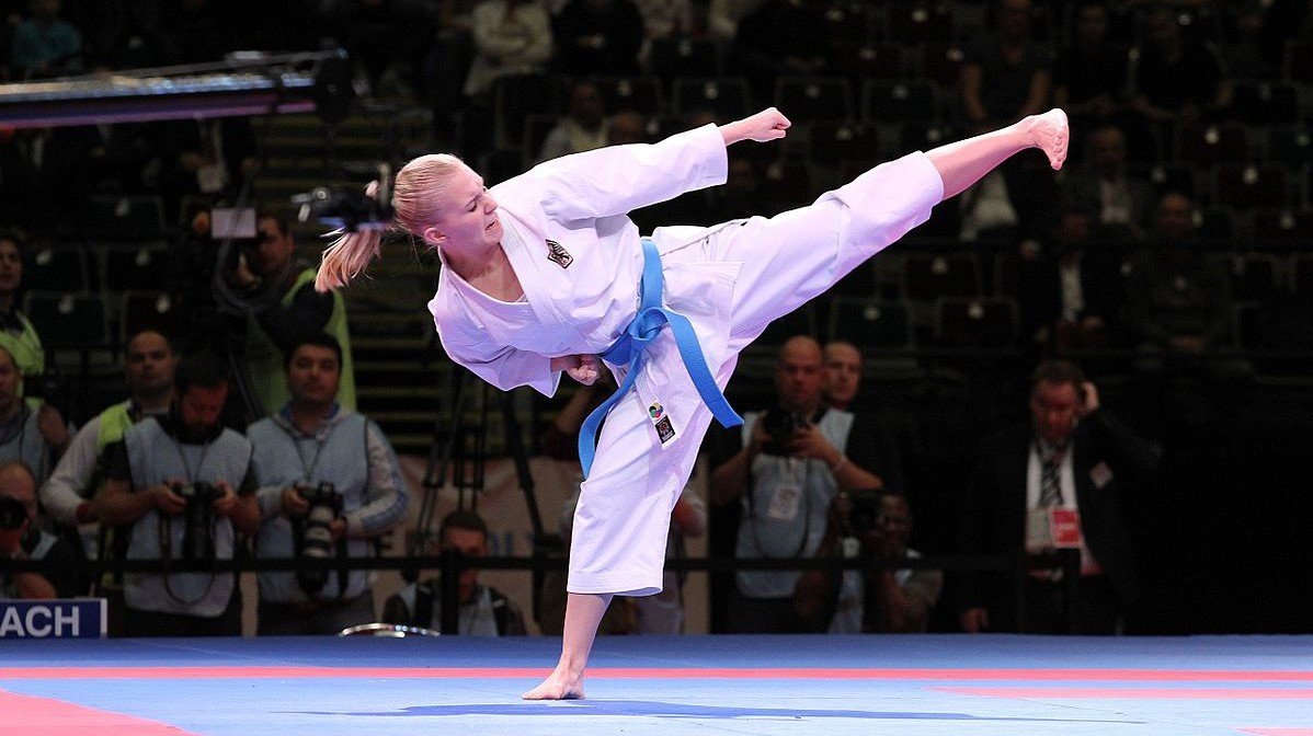 gulf tiger karate taekwondo