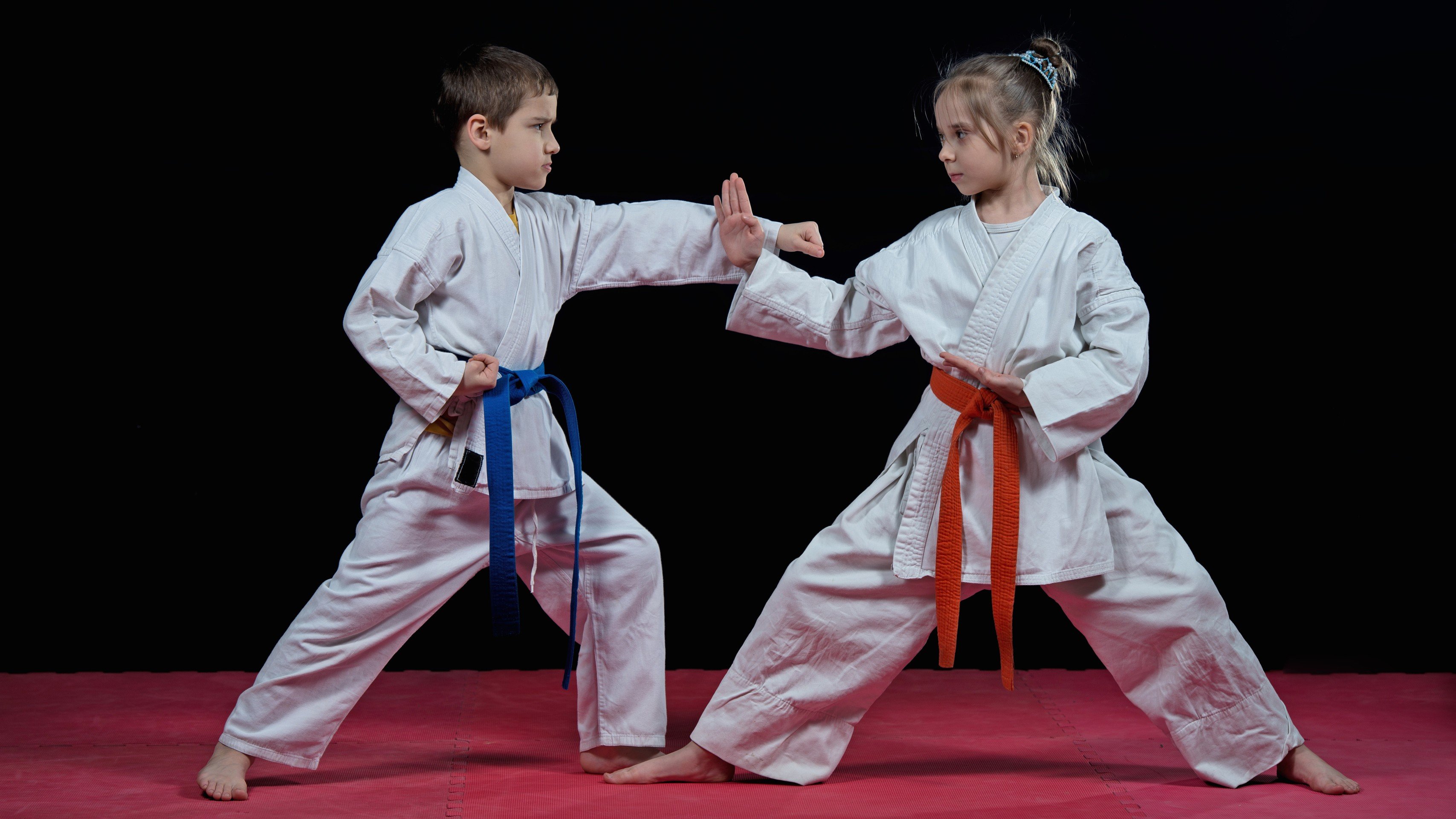 gulf tiger karate karate
