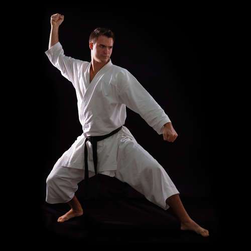 Gulf Tiger Karate | Home | Karate, Kickboxing, Taekwondo, Yoga Training ...