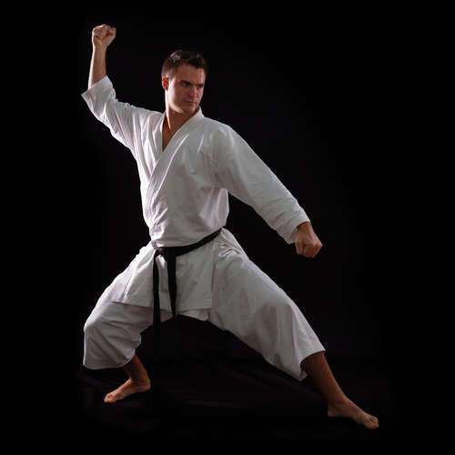 gulf tiger karate karate